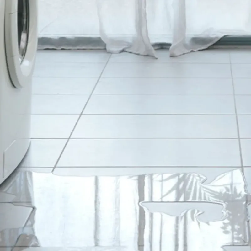 Appliance Leak Cleanup in Hutchinson County, SD