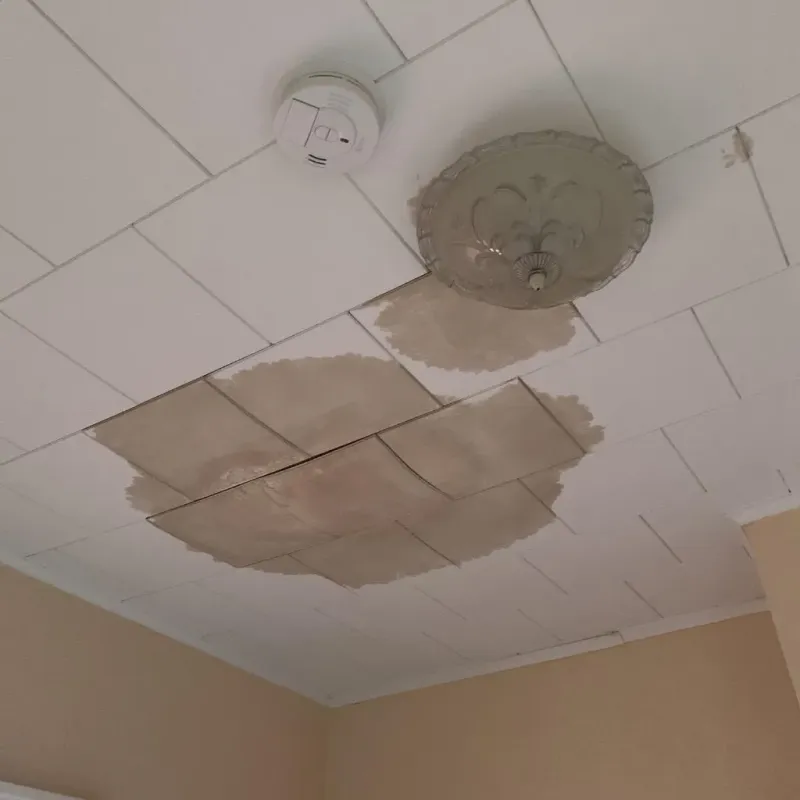 Ceiling Water Damage Repair in Hutchinson County, SD