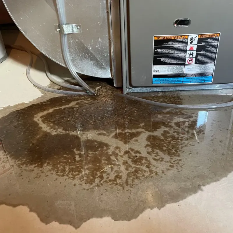 Pipe Burst and Leak Restoration in Hutchinson County, SD